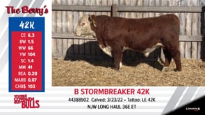 Lot #42K - B STORMBREAKER 42K