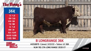 Lot #36K - B LONGRANGE 36K