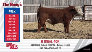 Lot #40K - OUT -- B IDEAL 40K