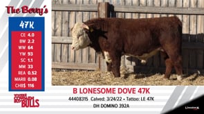 Lot #47K - B LONESOME DOVE 47K