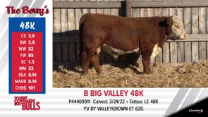 Lot #48K - B BIG VALLEY 48K