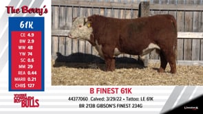 Lot #61K - B FINEST 61K
