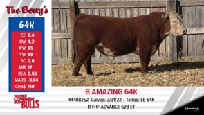 Lot #64K - B AMAZING 64K
