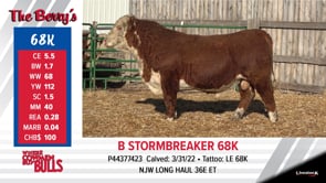 Lot #68K - B STORMBREAKER 68K