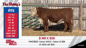 Lot #80K - B MR K 80K