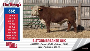 Lot #86K - B STORMBREAKER 86K