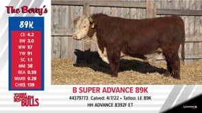 Lot #89K - B SUPER ADVANCE 89K