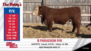 Lot #91K - B PARADIGM 91K