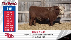 Lot #94K - B MR K 94K
