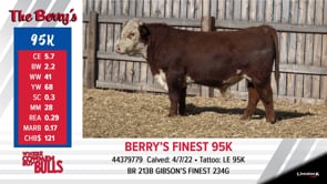 Lot #95K - BERRY'S FINEST 95K