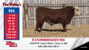 Lot #96K - B STORMBREAKER 96K