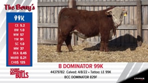 Lot #99K - B DOMINATOR 99K