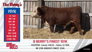 Lot #101K - B BERRY'S FINEST 101K
