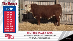 Lot #109K - B LITTLE VALLEY 109K
