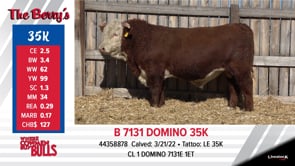 Lot #35K - B 7131 DOMINO 35K