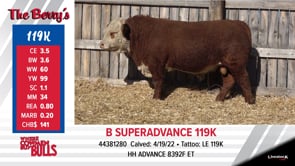 Lot #119K - B SUPERADVANCE 119K