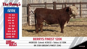 Lot #120K - BERRYS FINEST 120K