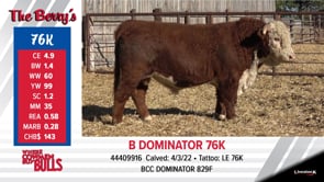 Lot #76K - B DOMINATOR 76K