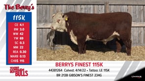 Lot #115K - BERRYS FINEST 115K
