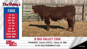 Lot #136K - B BIG VALLEY 136K