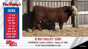 Lot #128K - B BIG VALLEY 128K