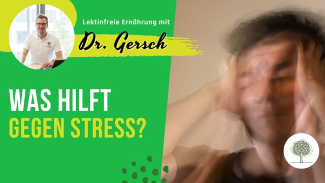 Welche Maßnahmen helfen gegen Stress? 