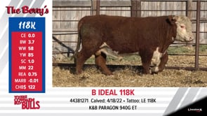 Lot #118K - OUT -- B IDEAL 118K