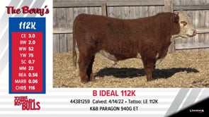 Lot #112K - B IDEAL 112K
