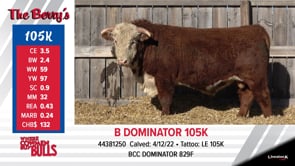 Lot #105K - B DOMINATOR 105K