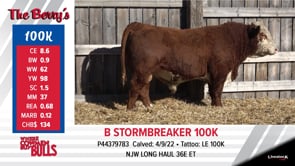 Lot #100K - B STORMBREAKER 100K