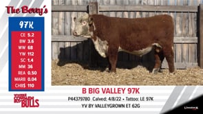 Lot #97K - B BIG VALLEY 97K