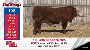 Lot #90K - B STORMBREAKER 90K