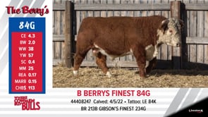 Lot #84G - B BERRYS FINEST 84G