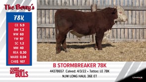 Lot #78K - B STORMBREAKER 78K