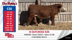 Lot #53K - B OUTCROSS 53K