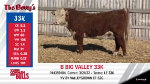 Lot #33K - BBIG VALLEY 33K