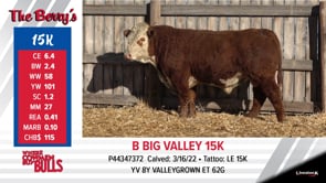 Lot #15K - B BIG VALLEY 15K