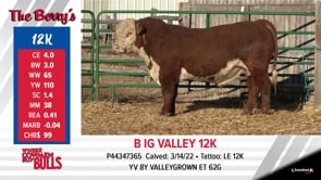 Lot #12K - B IG VALLEY 12K