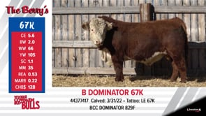 Lot #67K - B DOMINATOR 67K