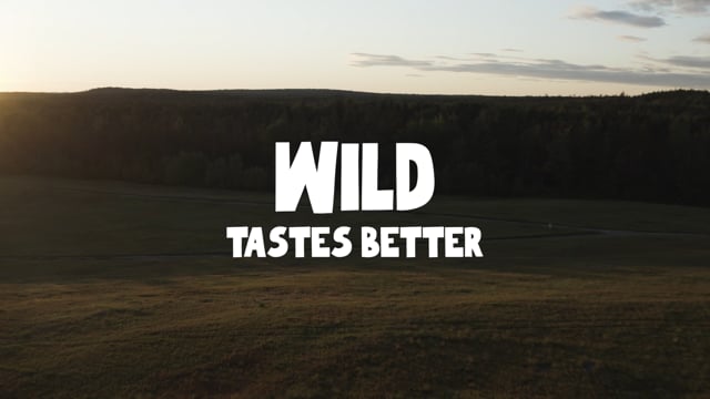 Vimeo Video Still for 