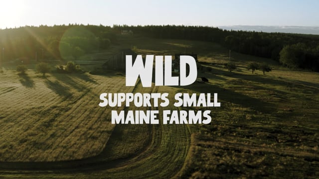 Vimeo Video Still for 