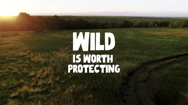 Vimeo Video Still for 