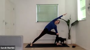 Related Embedded Video Item Thumbnail