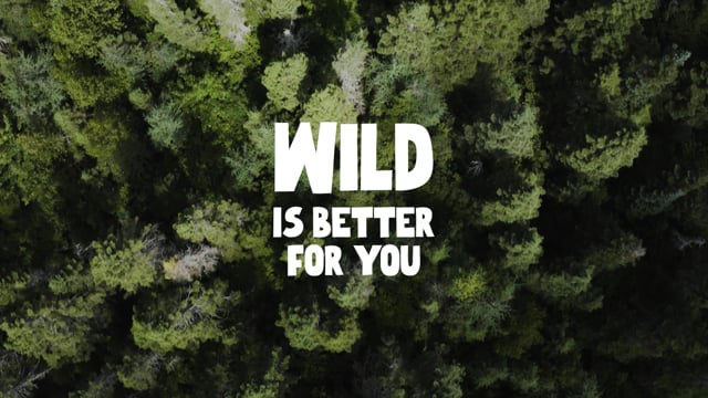 Vimeo Video Still for 