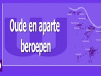 Speel Oude en aparte beroepen - De boekbinder af