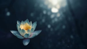 Beginning Your Practice Meditation