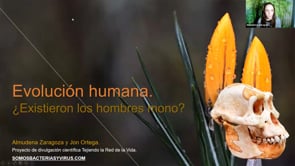 Evolución humana. ¿Existieron los hombres mono?