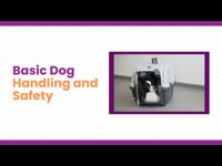 Dog Grooming: Basic Dog Handling and Safety in Dog Grooming