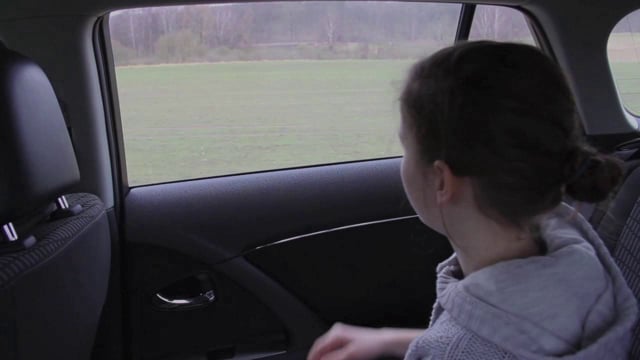 Window to the World (CIID/Toyota)