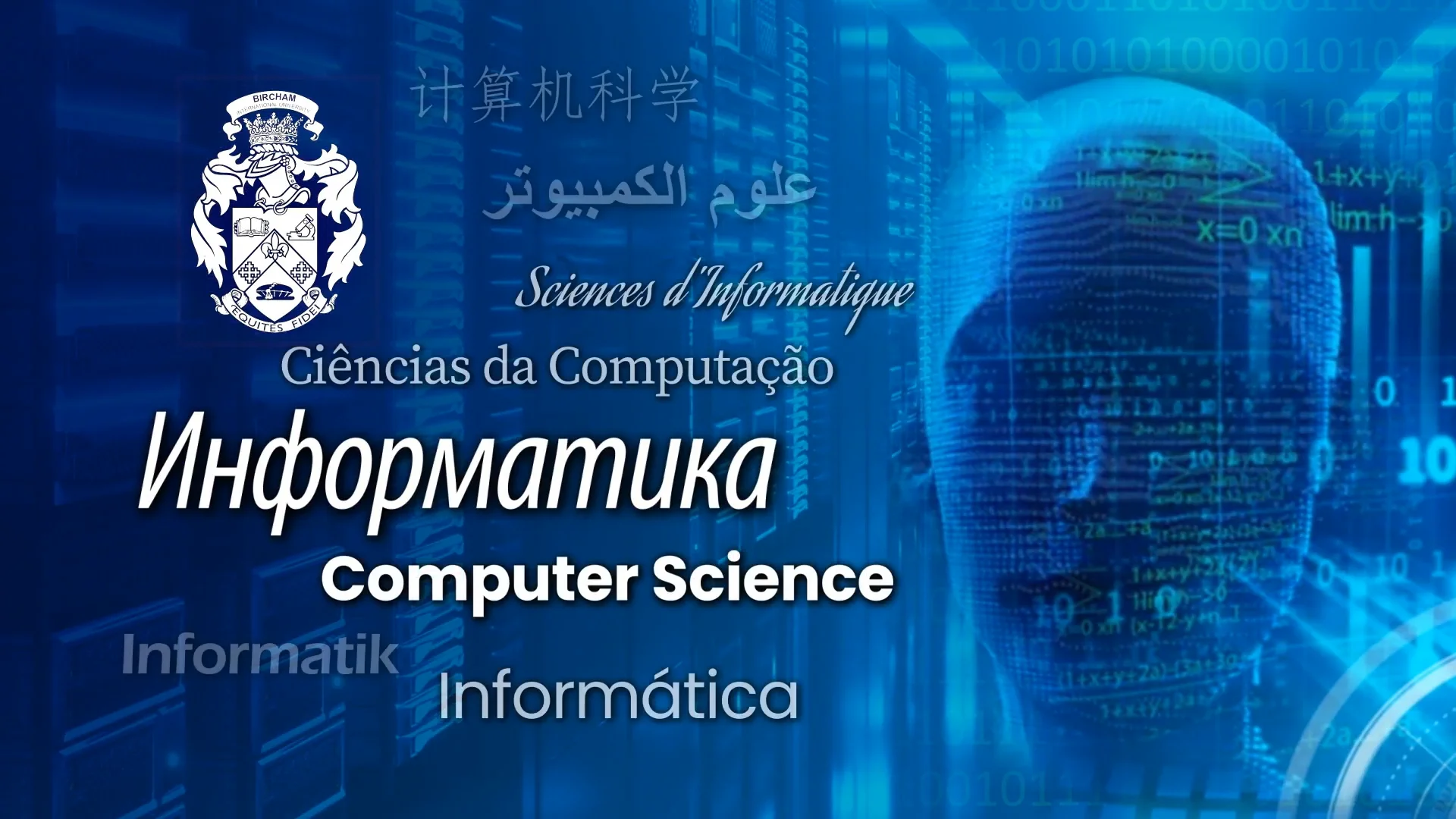 Информатика международная. Bachelor of Science